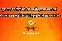 Latest Bhagva Status