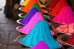 Holi-2020-image