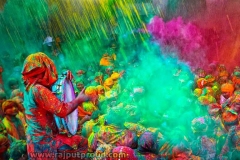 Holi-Best-image