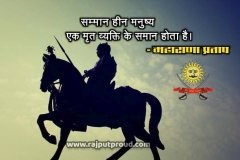 pratap